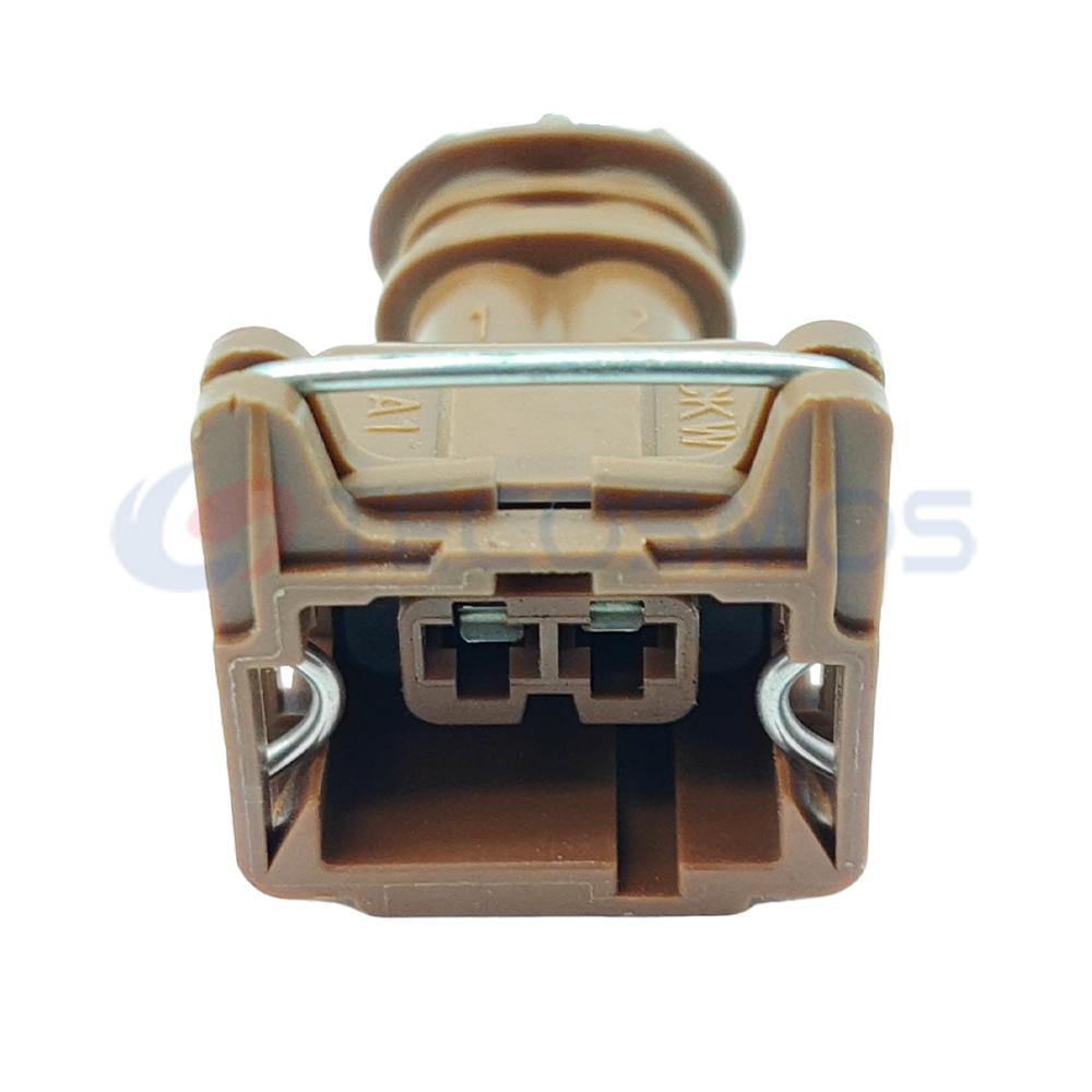 Car Connector For Water temperature groove on right side with 2 Pins CT2-0063M-01