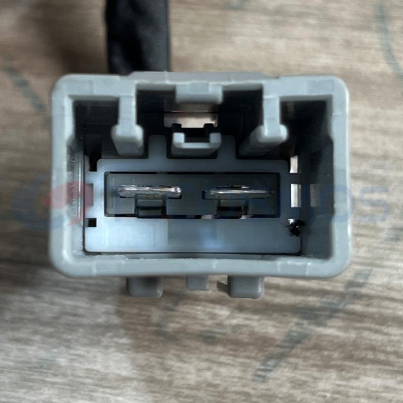 Car Connector For Roewe gateway plug 2pin CT2-0114G