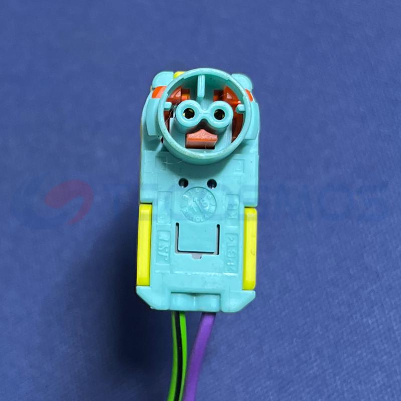 Car Connector For Airbag plug 2pin CT2-0148M-9