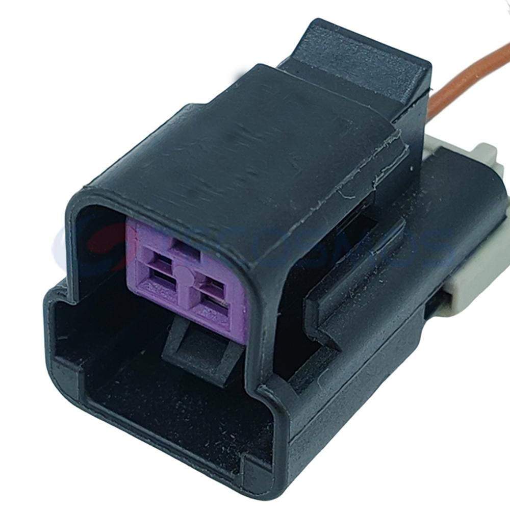 Car Connector For Buick Delphi plug 2pin CT2-0365M-1