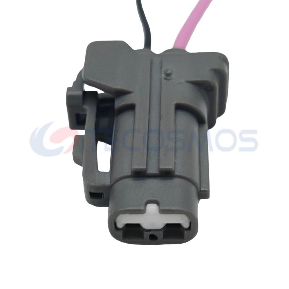 Car Connector For Luxgen For nissan Nissan small light plug 2pin CT2-0437M-1