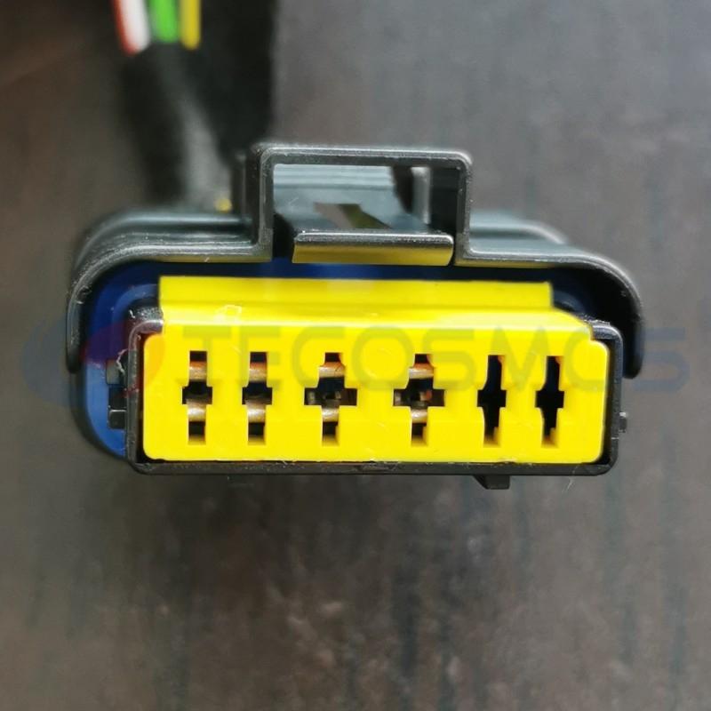 Car Connector For Peugeot gasoline pump plug 4-wire 6pin CT6-0043M-5