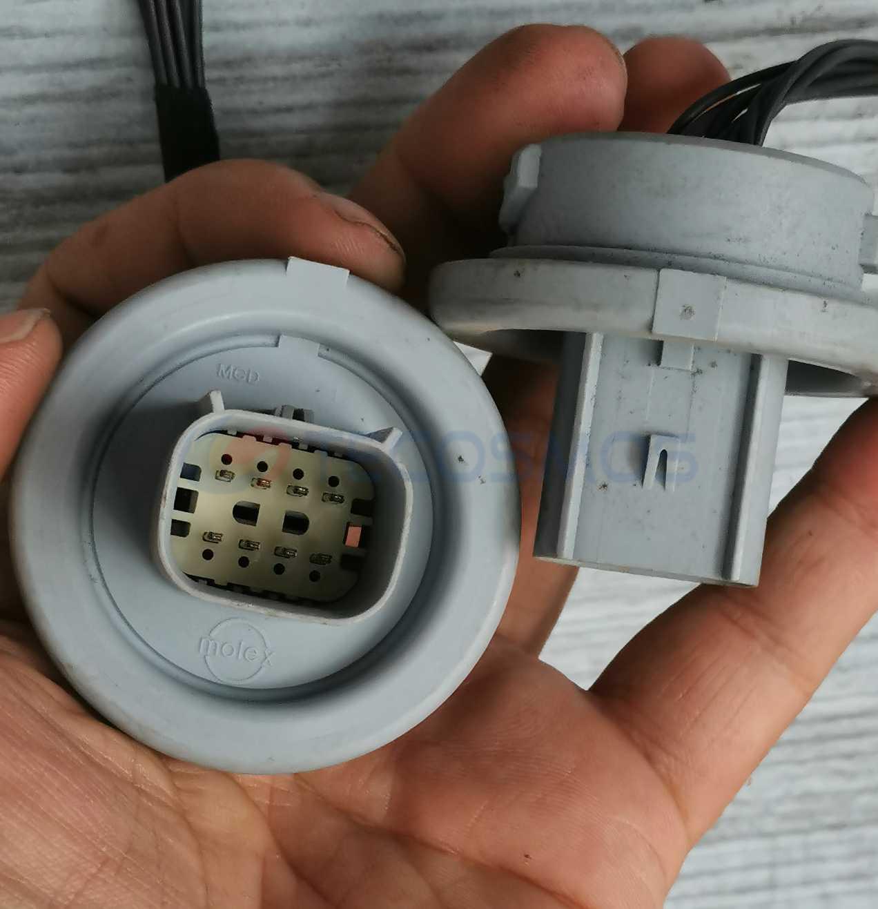 Car Connector For Buick light gray lamp socket male plug 8pin CT8-0009G-5